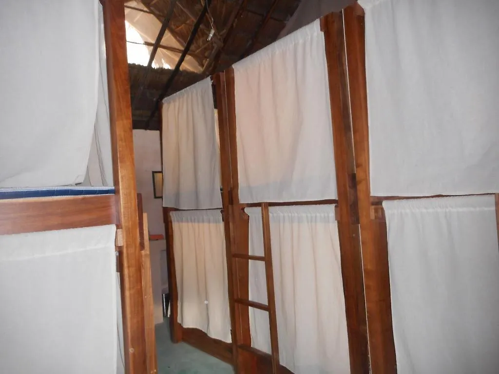 Chill Inn Hostel Tulum Mexico