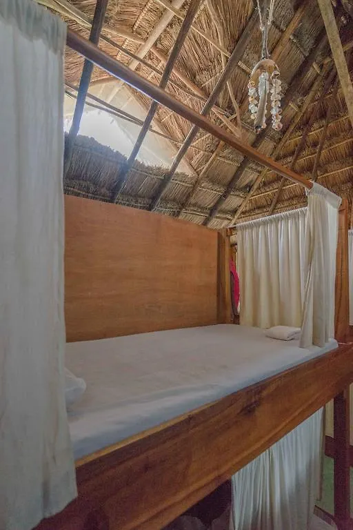 Chill Inn Hostel Tulum