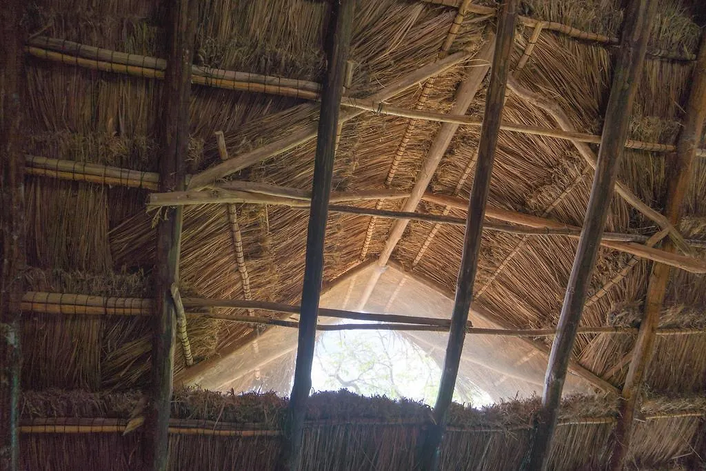 Chill Inn Hostel Tulum Mexico