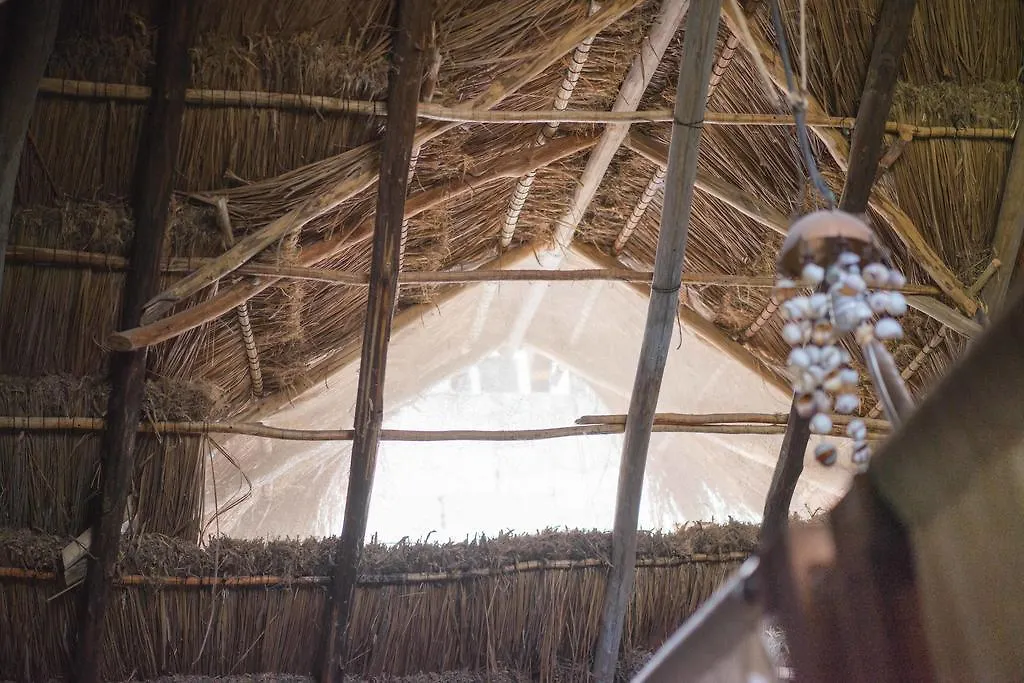 Chill Inn Hostel Tulum