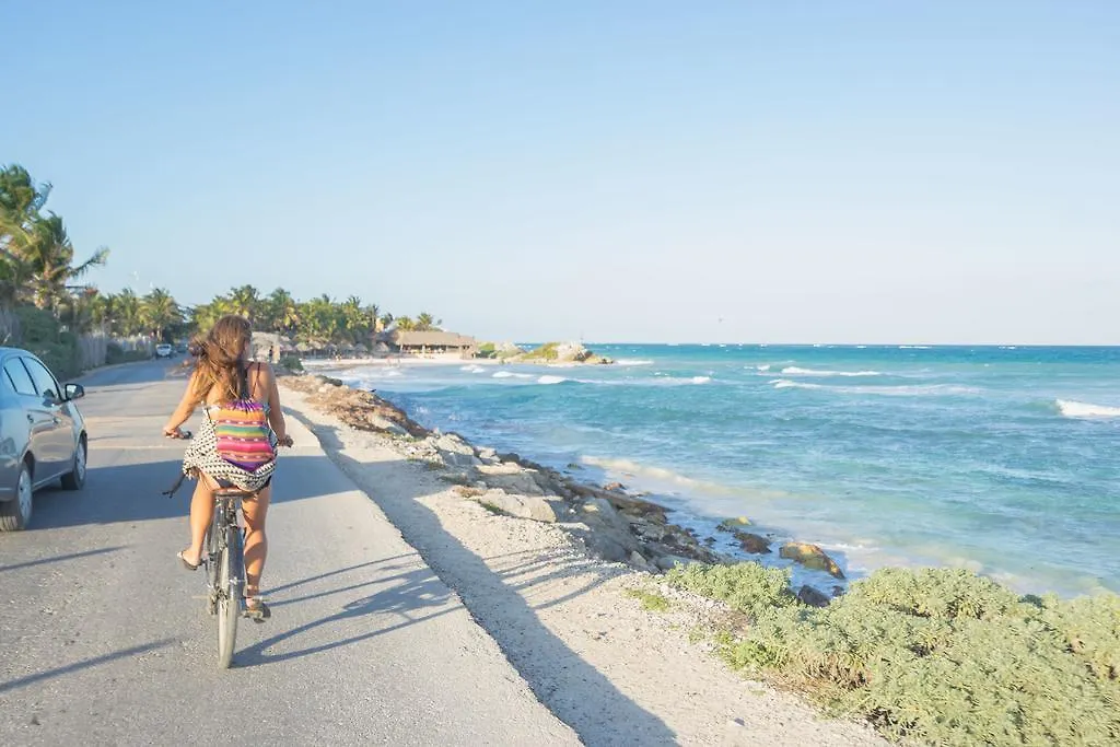 Chill Inn Hostel Tulum Mexico