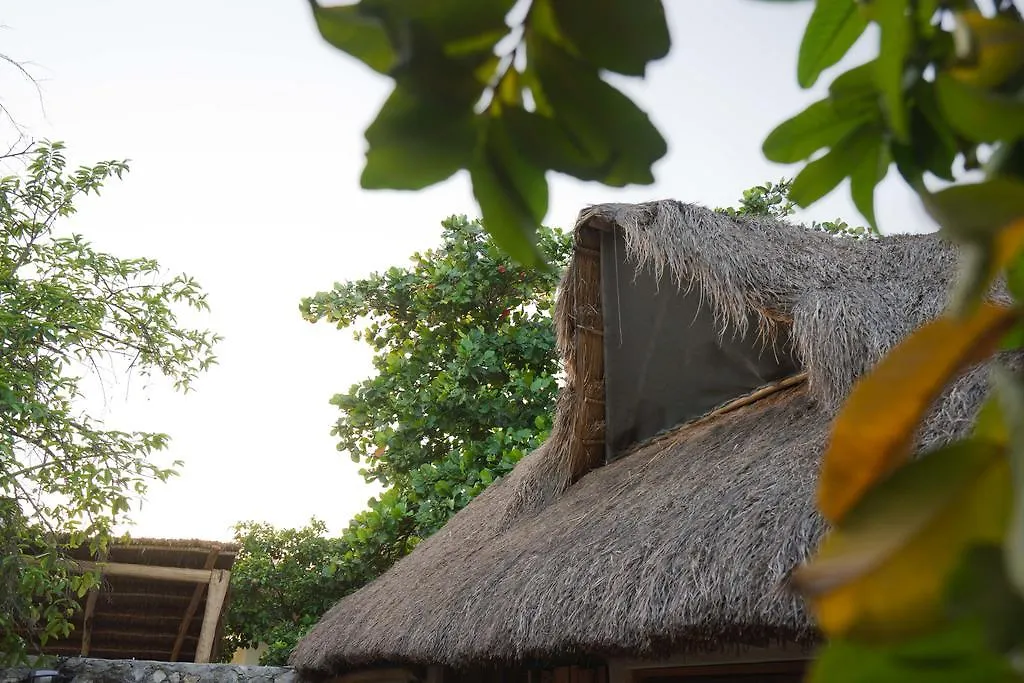 Chill Inn Hostel Tulum