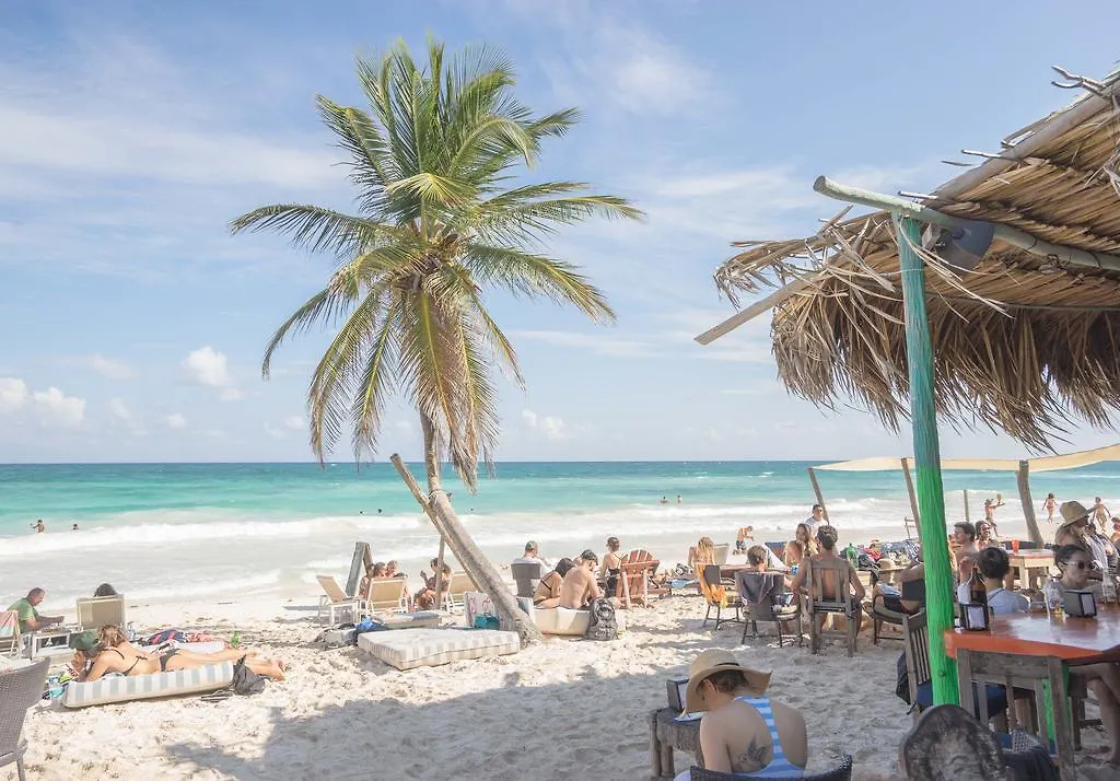 Chill Inn Hostel Tulum