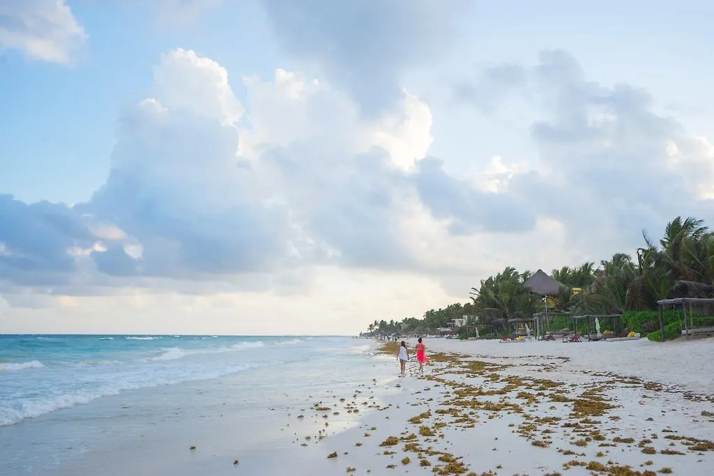 Chill Inn Hostel Tulum